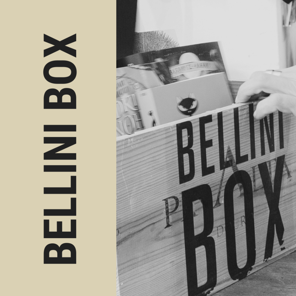 Autor608-papst-manfred-3-ayseyavas2025_sw