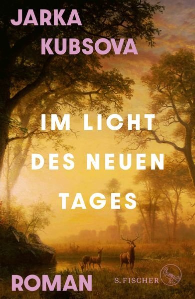 Im-Licht-des-neuen-Tages