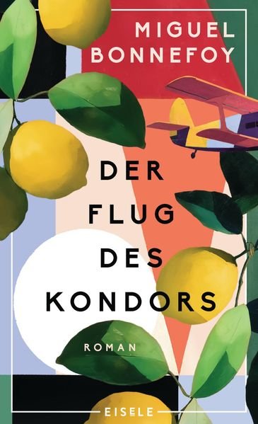 Der-Flug-des-Kondors